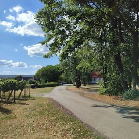 V Prirodnej Pamiatkovej Rezervacii Sebechleby pri Krupine